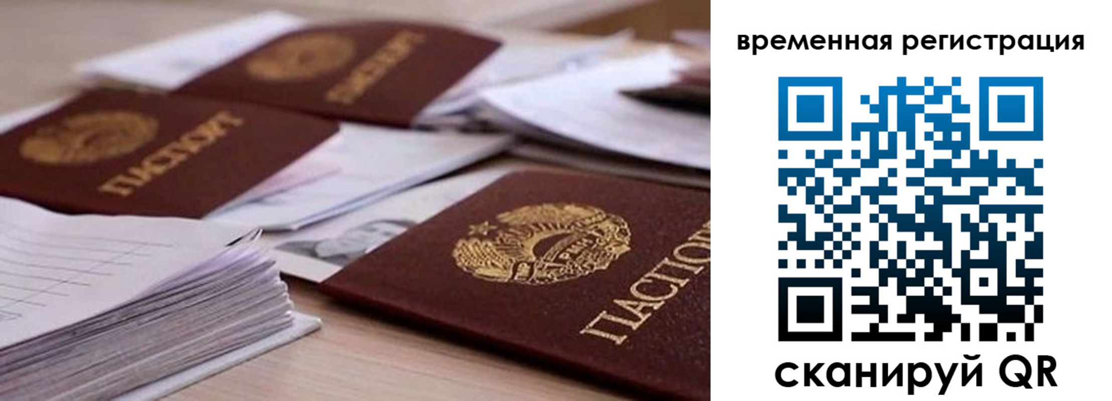 временная регистрация поиск в Курской области
